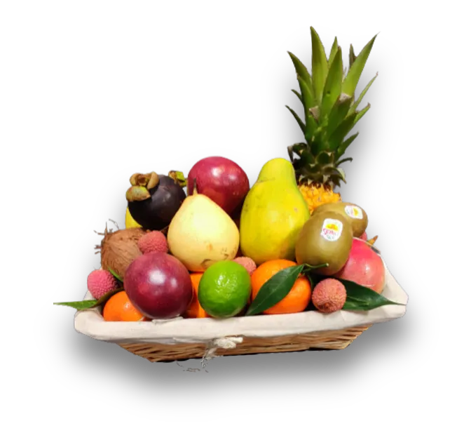 CORBEILLE DE FRUITS ANTOINETTE